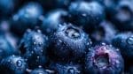 Best Fruits Dewy Blueberries