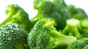 Vegetables a Fresh Broccoli Bunch