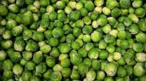 Fresh Brussel Sprouts